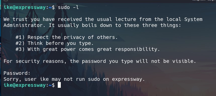 sudo privileges
